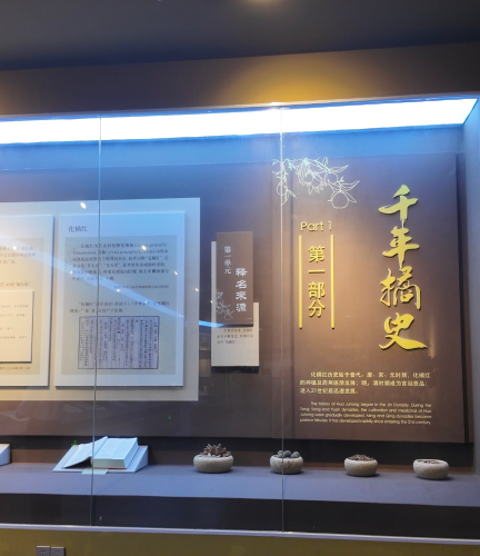 参观化橘红博览馆
