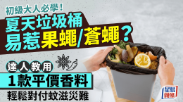 初级大人必学！夏天垃圾桶易惹果蝇/苍蝇？达人教用1款平价香料，轻松对付蚊子灾难