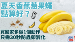 夏天香蕉惹果蝇怎么办？买回家多做1个动作，只需30秒防虫卵孵化