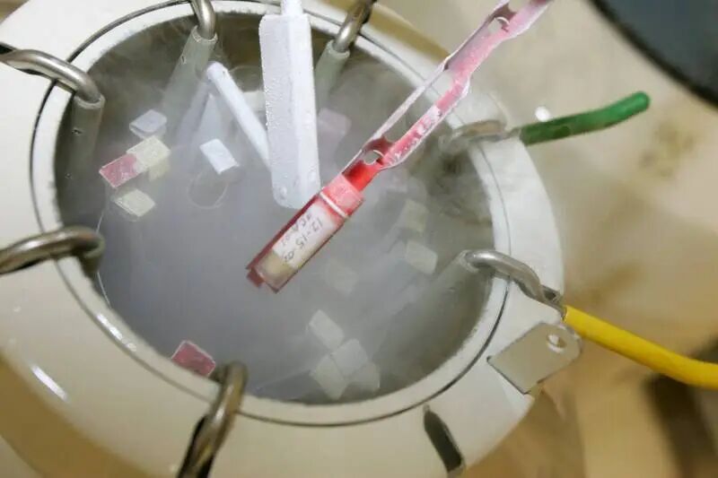 圖為一家生殖醫學機構的儲卵罐。示意圖，非事件當事者。（法新社資料照）