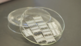 刷新世界纪录，我国科学家在太阳能电池研究领域取得新突破