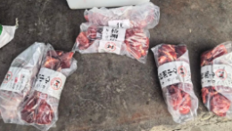 警方突袭一牛肉制假窝点，现场多人正往猪肉上涂抹牛油、牛血冒充牛肉……